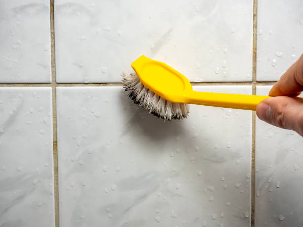 Best Attic Mold Removal  in Kotzebue, AK