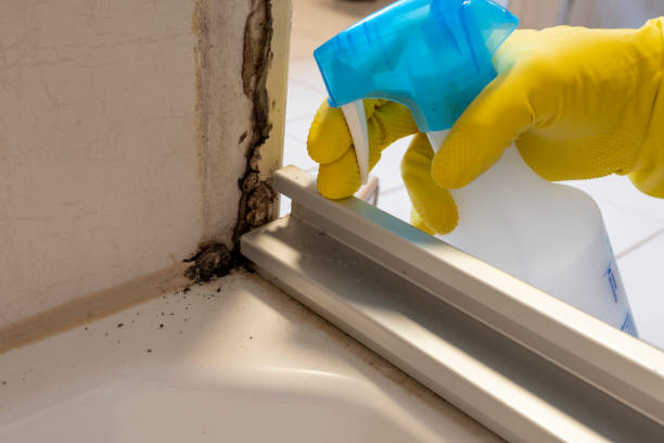 Best Residential Mold Removal  in Kotzebue, AK